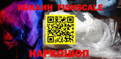 МДПВ Камышлов