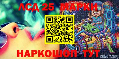 МДПВ Камышлов