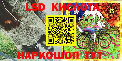 МДПВ Камышлов