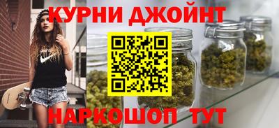 МДПВ Камышлов