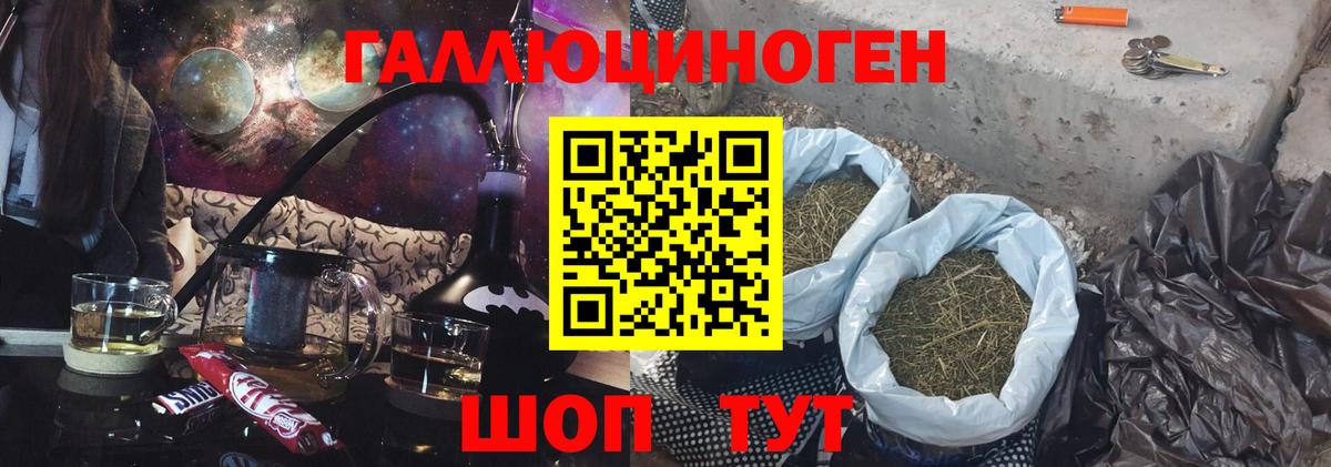где можно купить   Псилоцибиновые грибы GOLDEN TEACHER  Каменск-Уральский  Вход с VPN  Псилоцибиновые грибы мицелий 